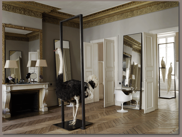 Beauty Hunter en parís