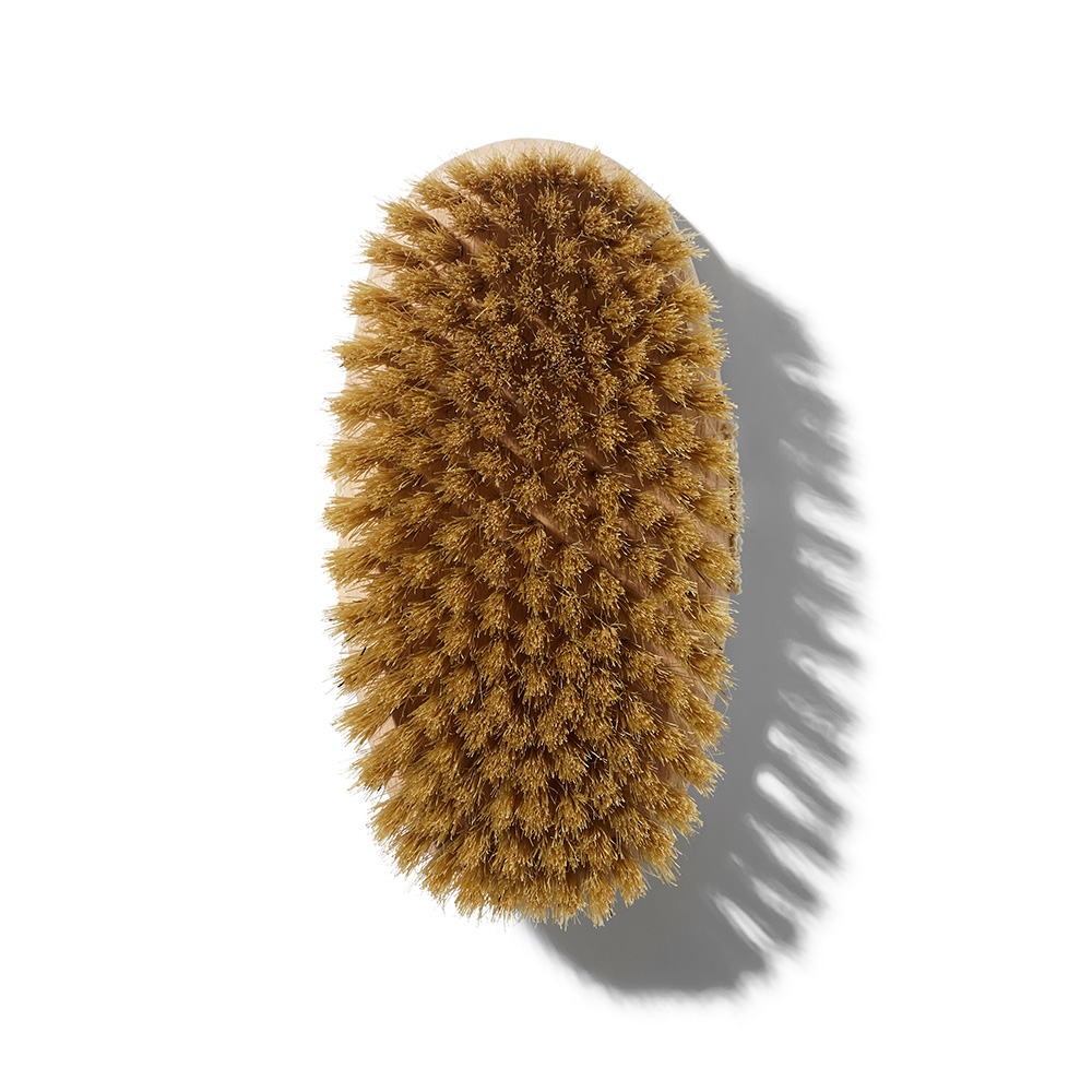 body-brush-medium-3.jpg body-brush-medium-3.jpg