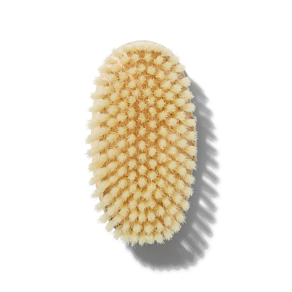 body-brush-soft-2-2.jpg body-brush-soft-2-2.jpg